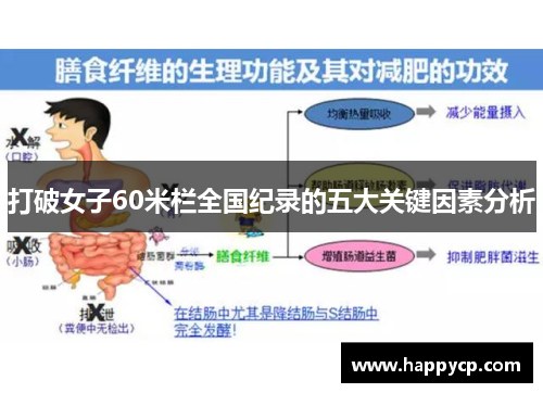 打破女子60米栏全国纪录的五大关键因素分析