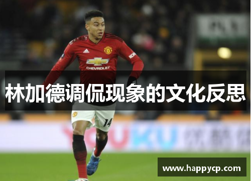 林加德调侃现象的文化反思 林加德调侃现象的文化反思