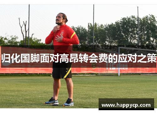 归化国脚面对高昂转会费的应对之策